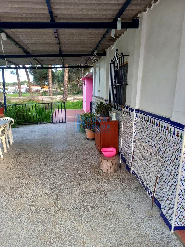 Garden of Country house for sale in Bonares  with Private garden and Terrace
