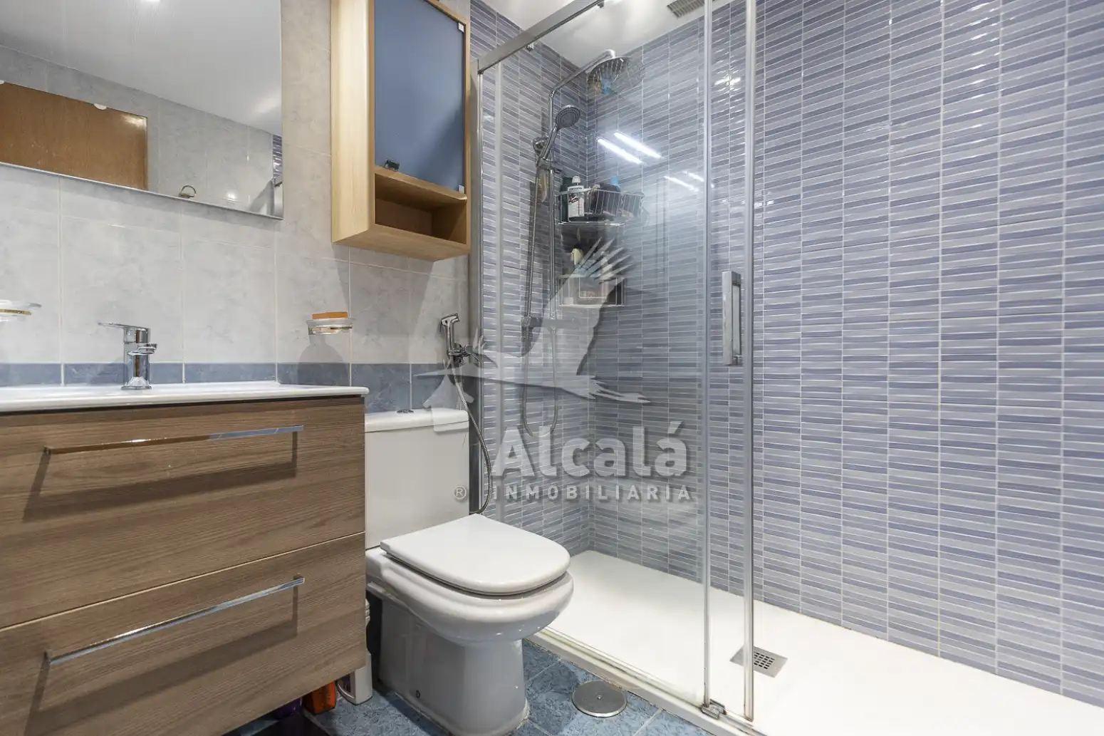 Baño de Casa o chalet en venta en La Garena