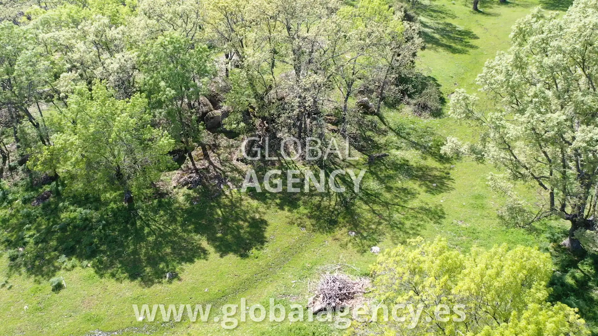 Terreny en venda en El Escorial