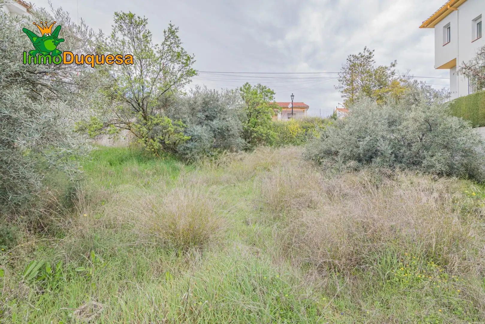 Terreni e lotti in vendita a Cúllar Vega, imagen 14