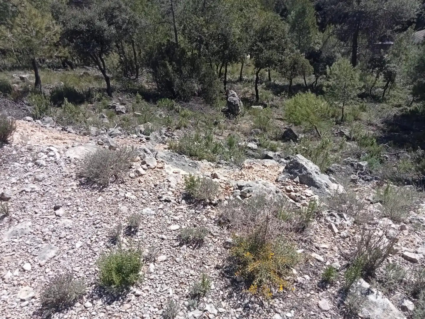 Residencial en venda en Escopete