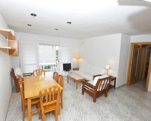 Sala d'estar de Dúplex en venda en Alcanar amb Terrassa i Balcó