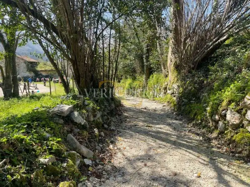 Terreno residencial en venta en Piñeres de Pría, imagen 13