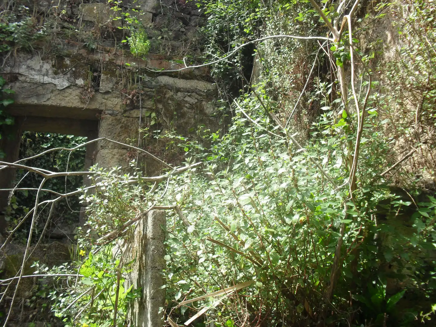 Jardí de Residencial en venda en Moaña