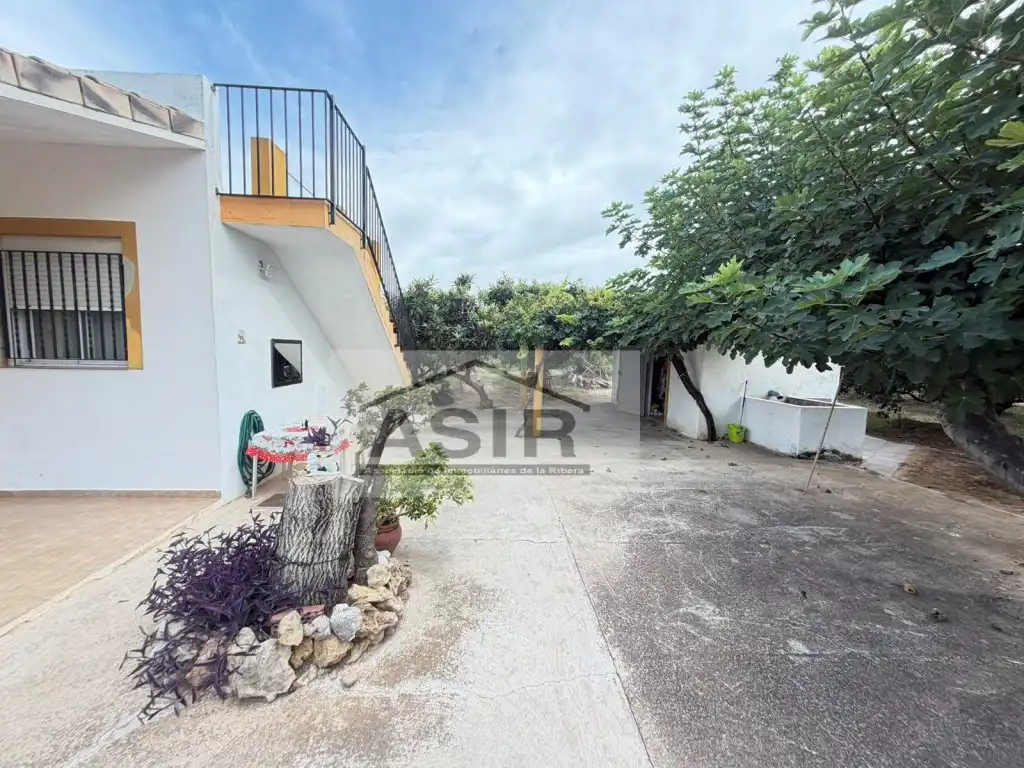 Exterior view of Houses for sale in Benicull de Xúquer
