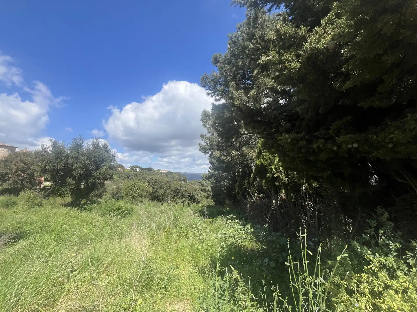 Lands and plots for sale in DE ROMANYÀ, imagen 2