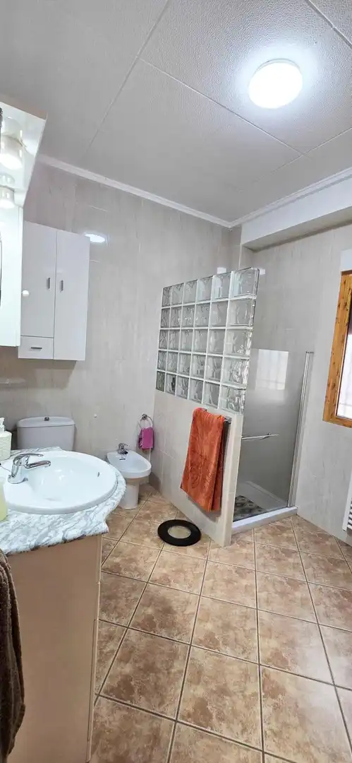 Bany de Casa o xalet en venda en Novelda amb Aire condicionat, Jardí privat i Terrassa