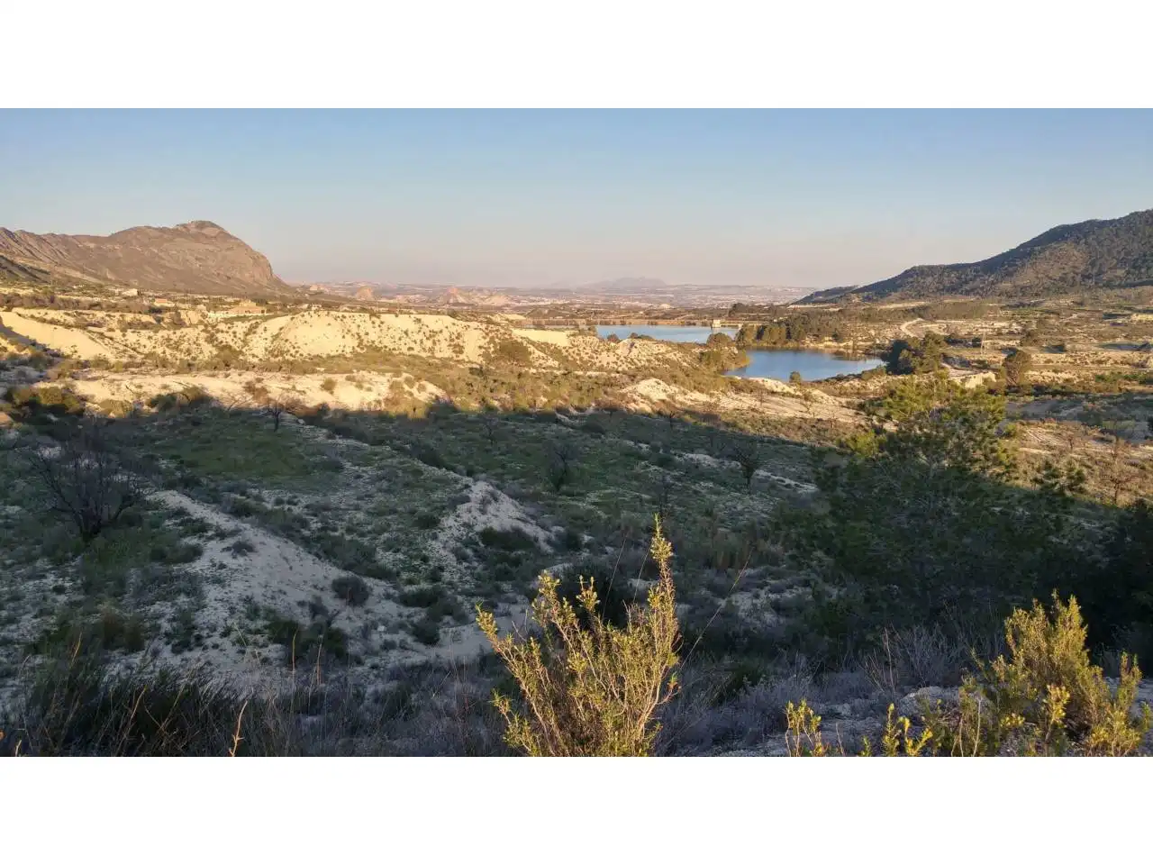 Lands and plots for sale in Ojós, imagen 8