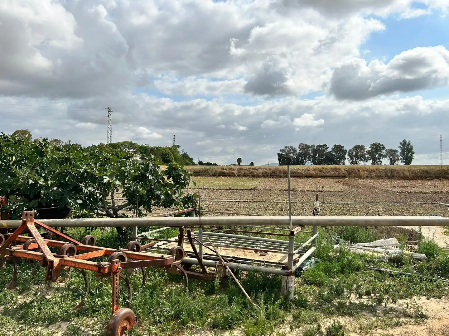 Landhaus mit Garten zum Verkauf in Jerez norte - Montealto - Pozoalbero, imagen 9