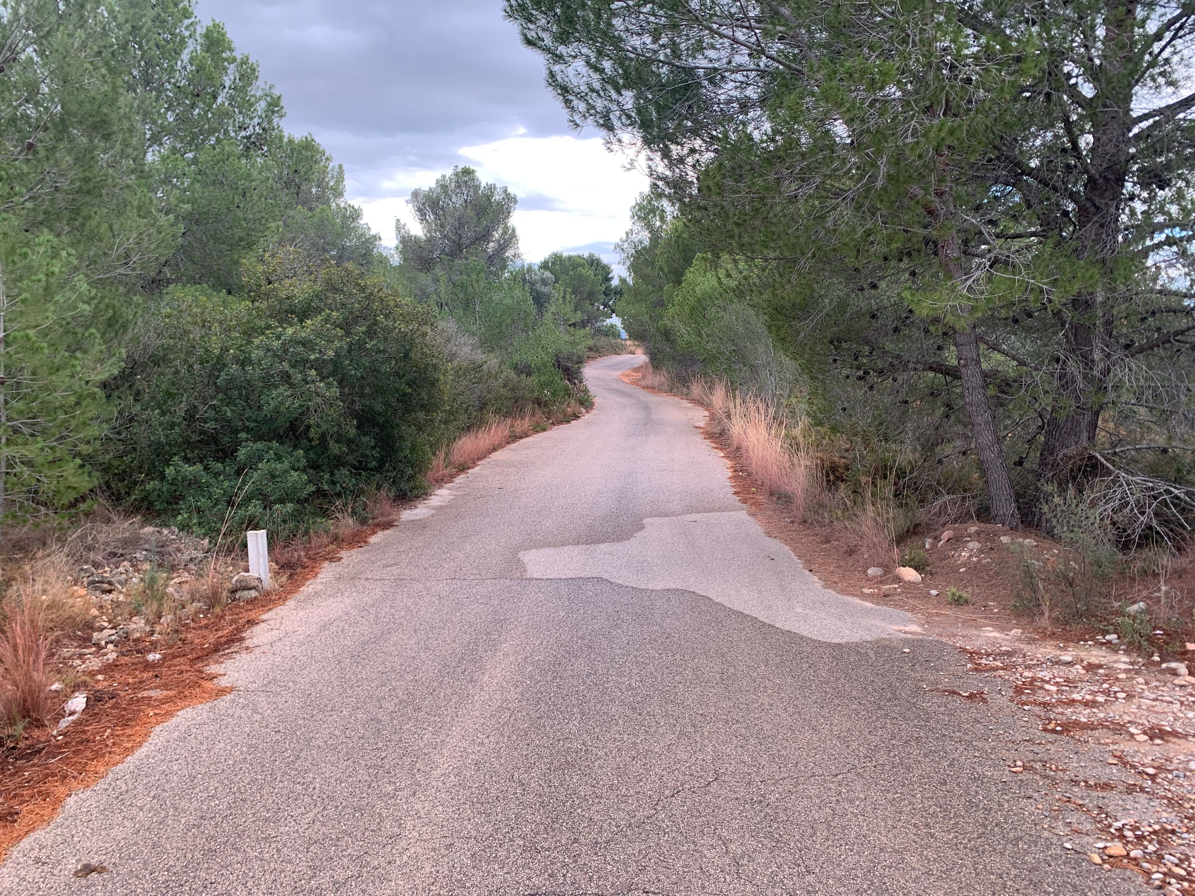 Exterior view of Land for sale in Bétera