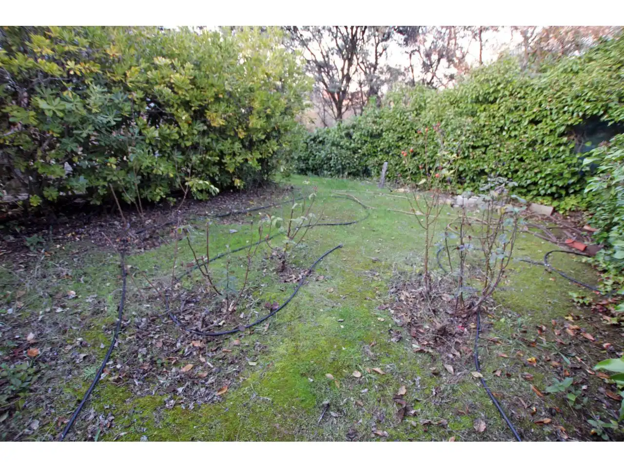 Jardí de Casa o xalet en venda en Valdeaveruelo amb Calefacció, Jardí privat i Terrassa