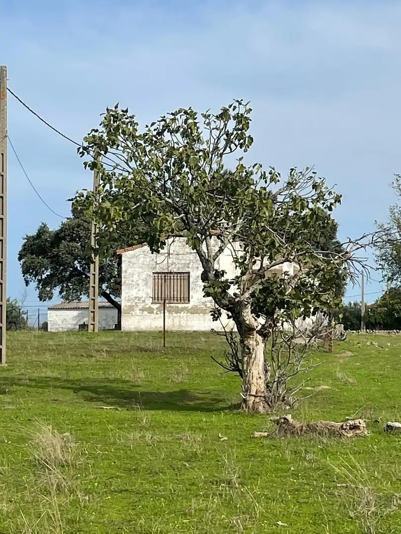 Maison à vendre à Arroyo de la Luz, imagen 10