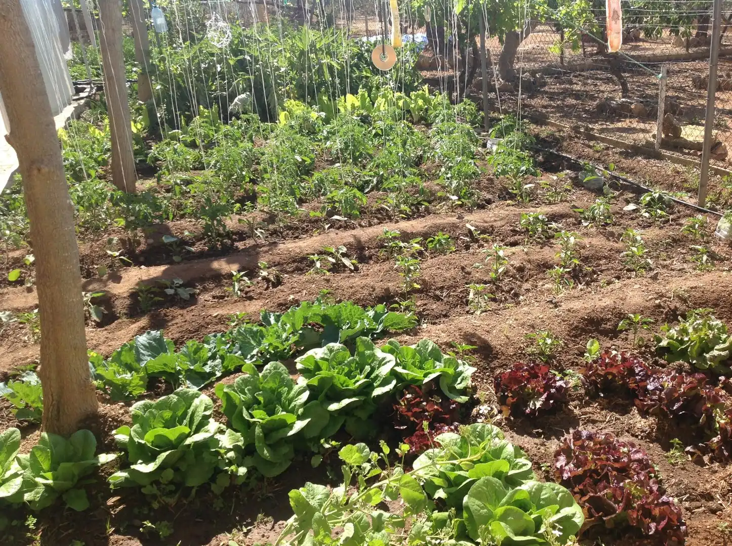 Jardí de Finca rústica en venda en Camarles amb Aire condicionat, Calefacció i Jardí privat