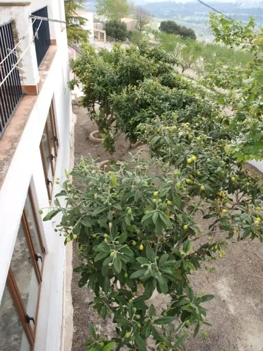 Maison rustique avec jardin à vendre à Penàguila, imagen 73