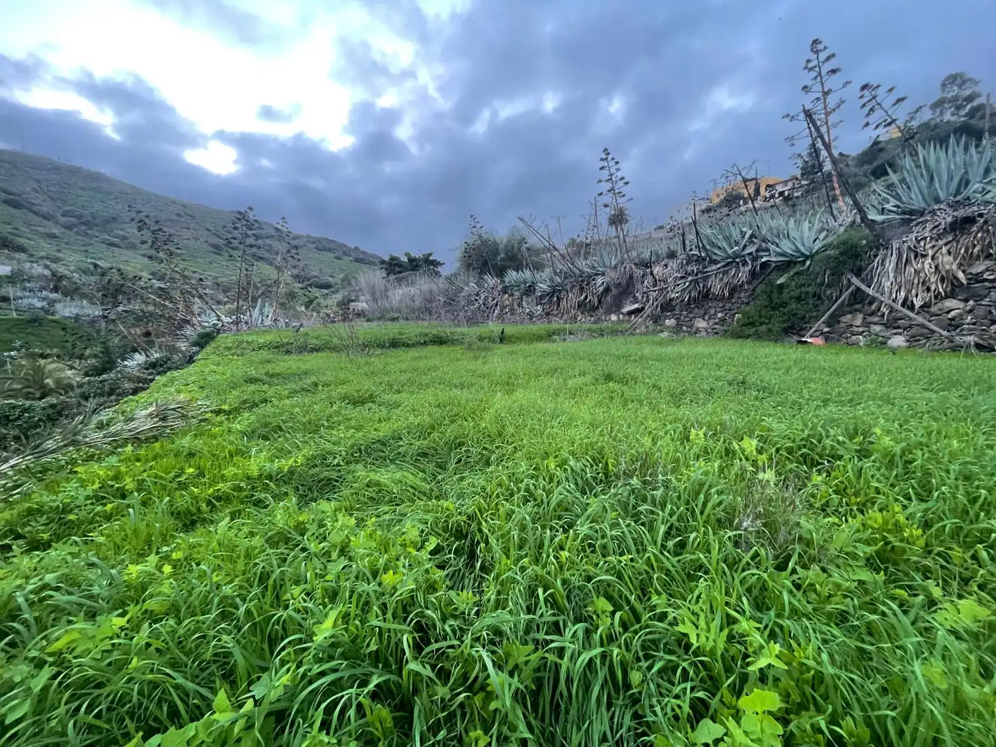 Terreno en venta en Valsequillo de Gran Canaria