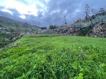 Terreno rústico en venta en Valsequillo de Gran Canaria