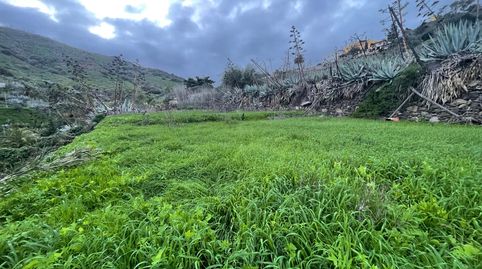 Foto 3 de Terreno en venta en Valsequillo de Gran Canaria, Las Palmas