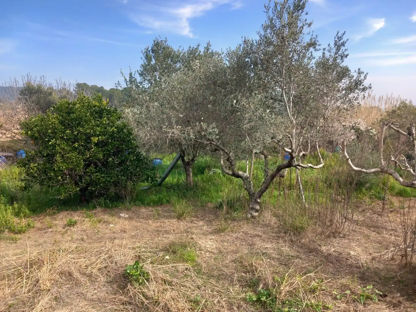 Casa o xalet en venda en Torrelles de Foix amb Traster