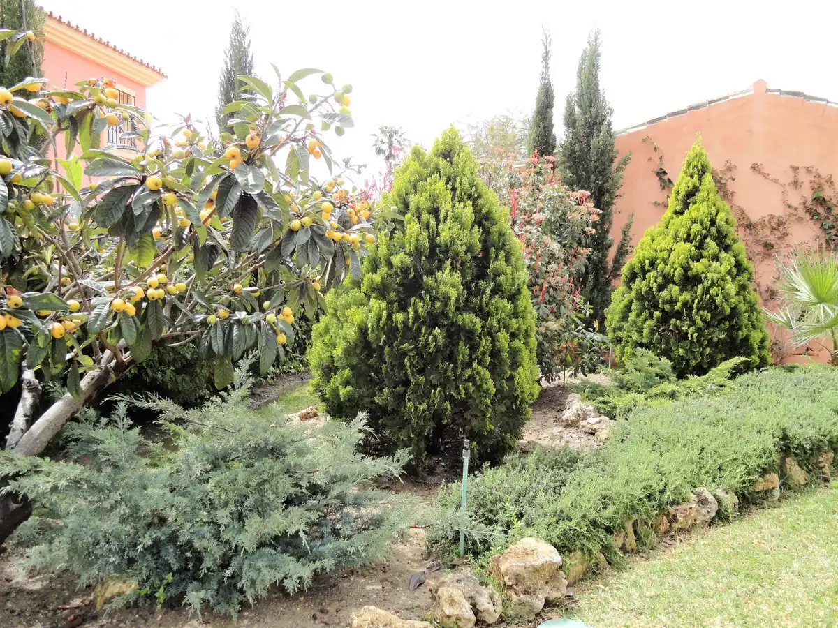 Casa amb piscina en venda a Estepona Pueblo, imagen 44