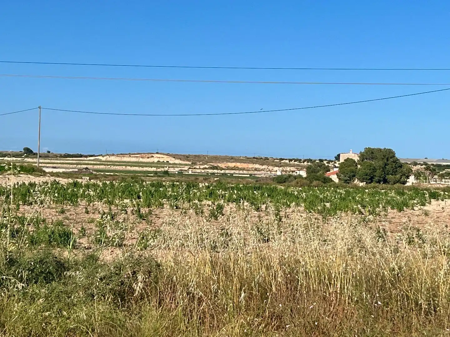 Casa o chalet en venta en Elche / Elx con Jardín privado y Trastero