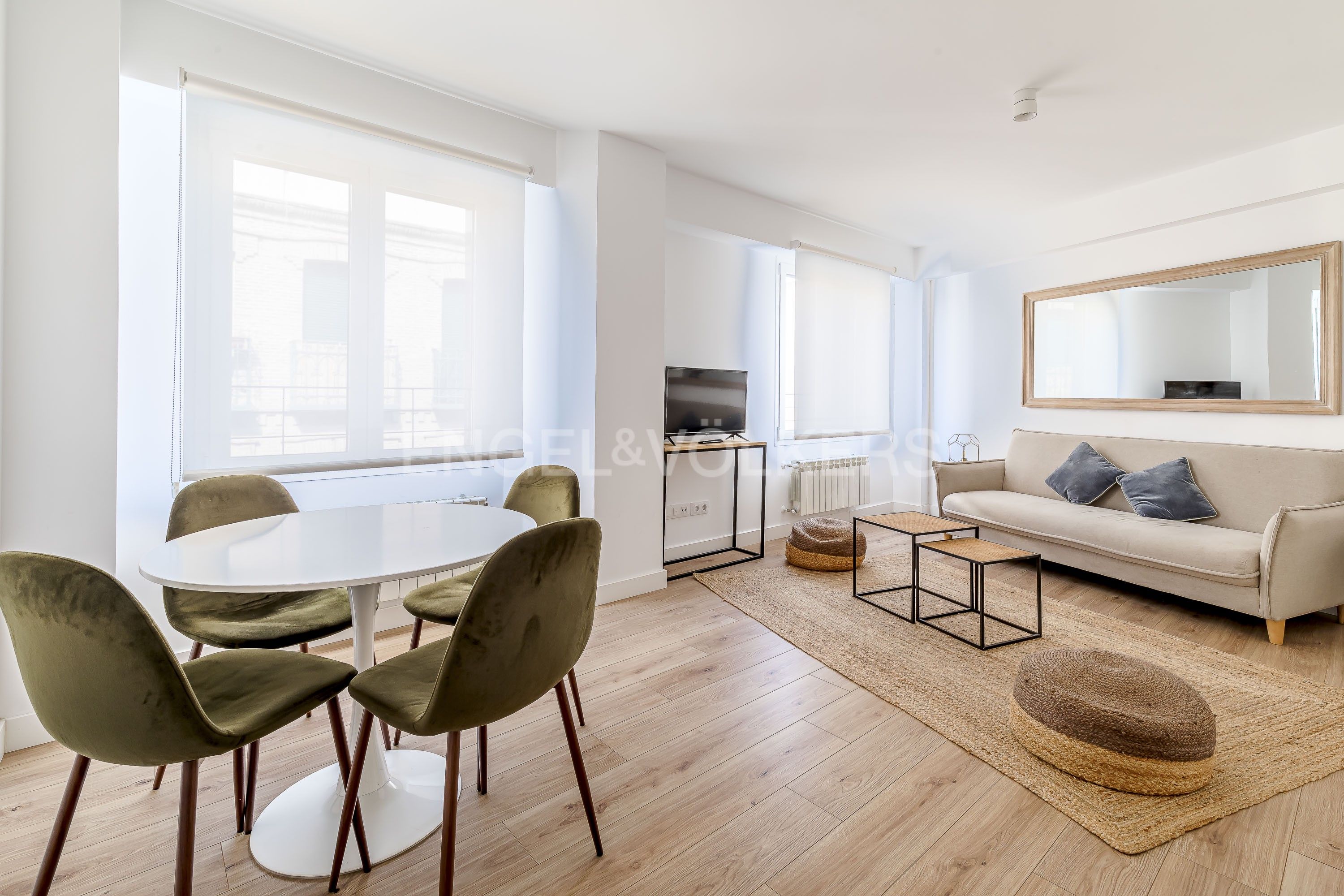 Living room of Apartment to rent in  Madrid Capital  with Air Conditioner, Heating and Furnished