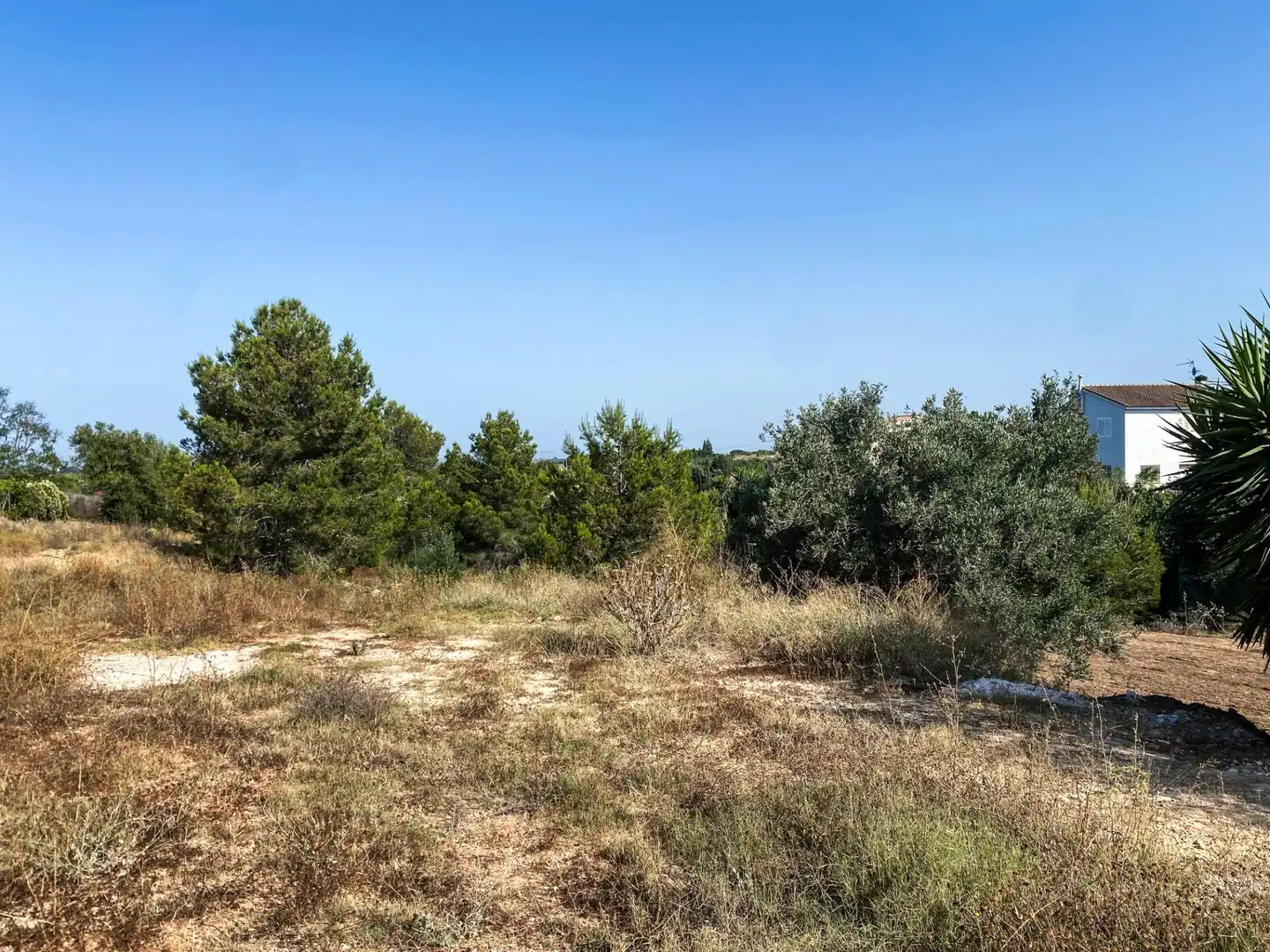 Residential land for sale in Calle Hermanos Quintero