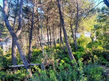 Terreno residenziale in vendita a Olivella
