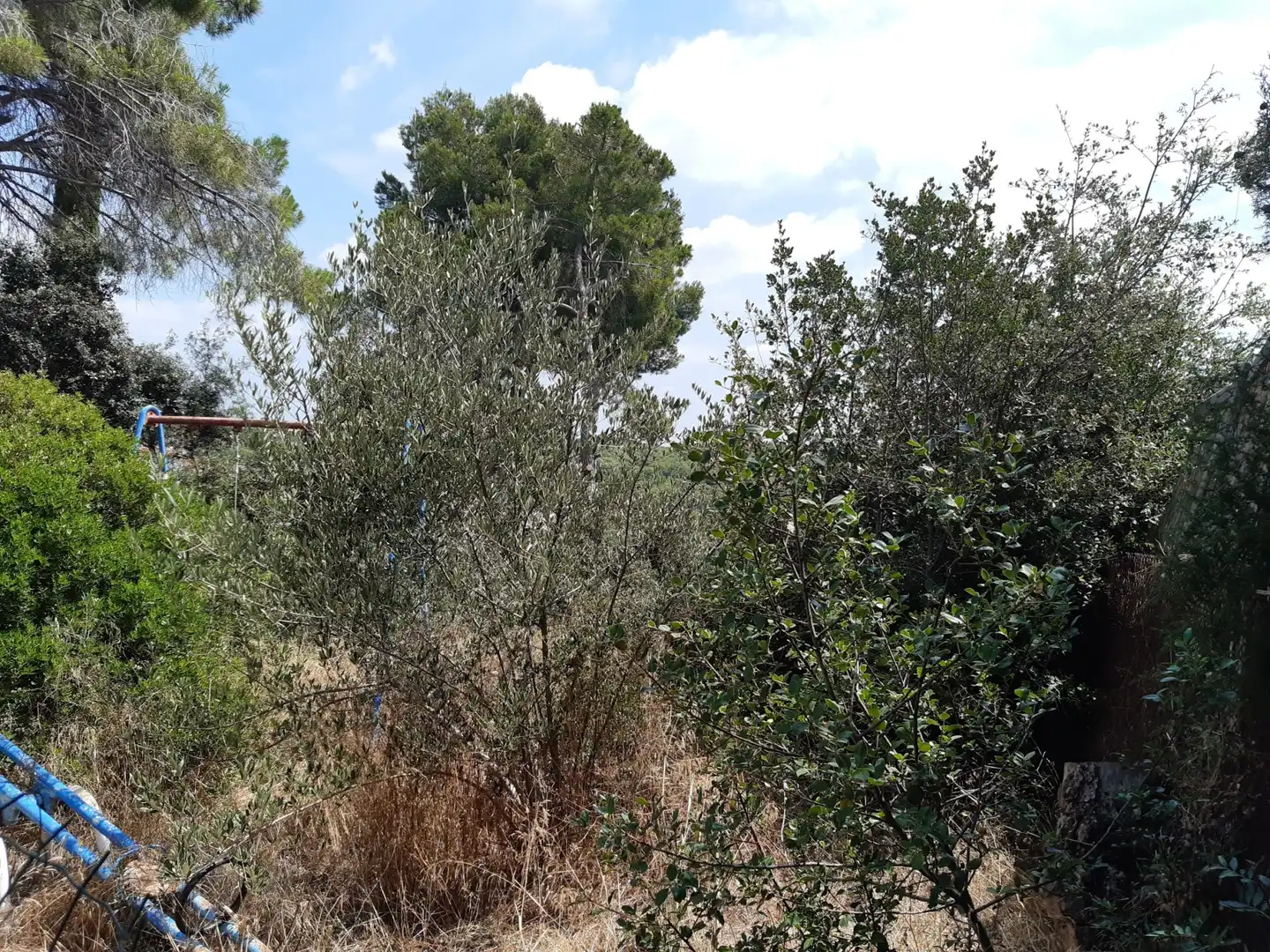 Terrenos y solares en venta en La Serreta, imagen 10