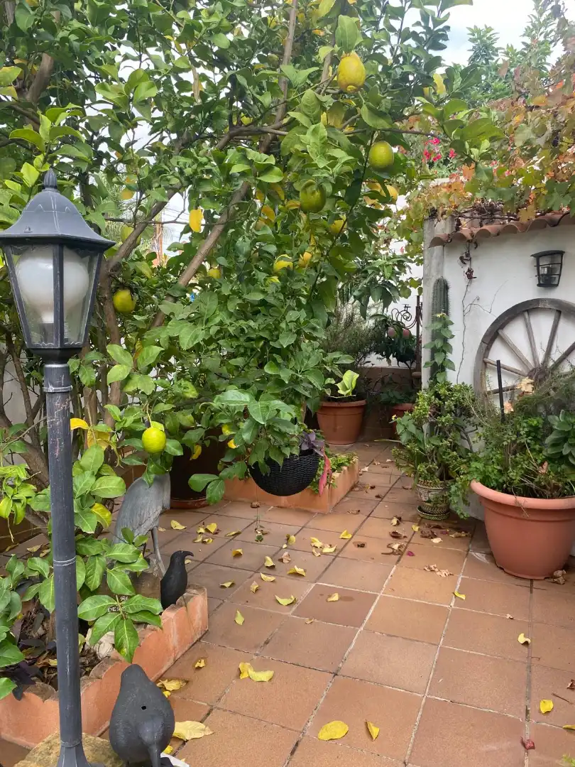 Jardí de Casa o xalet en venda en Dos Hermanas amb Aire condicionat, Jardí privat i Terrassa