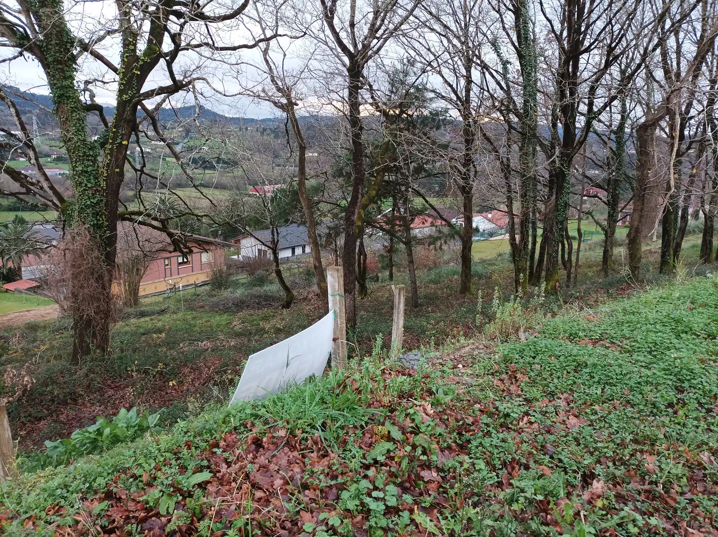 Terreny residencial en venda a Mungia, imagen 2