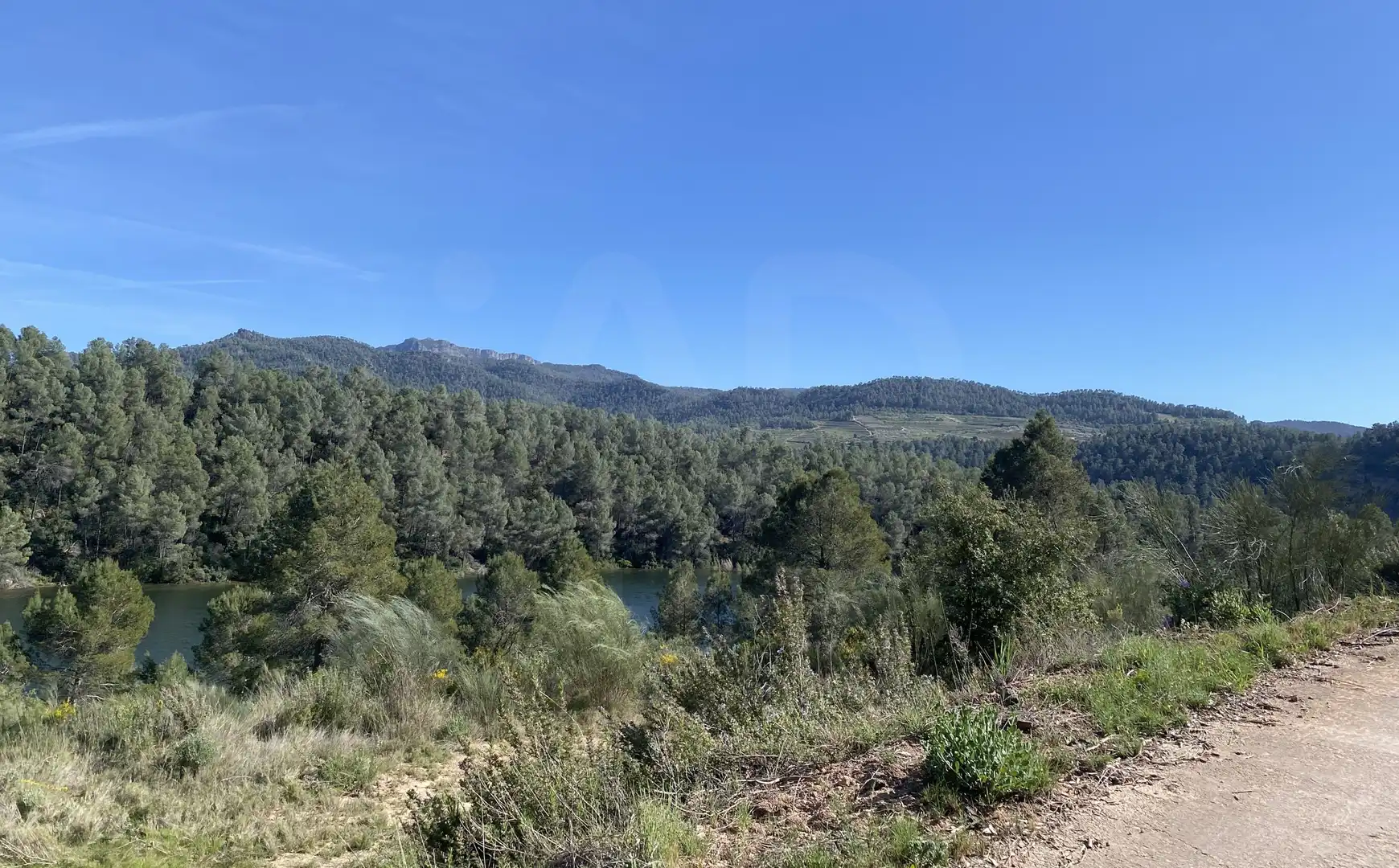 Residential land for sale in Els Guiamets, imagen 16