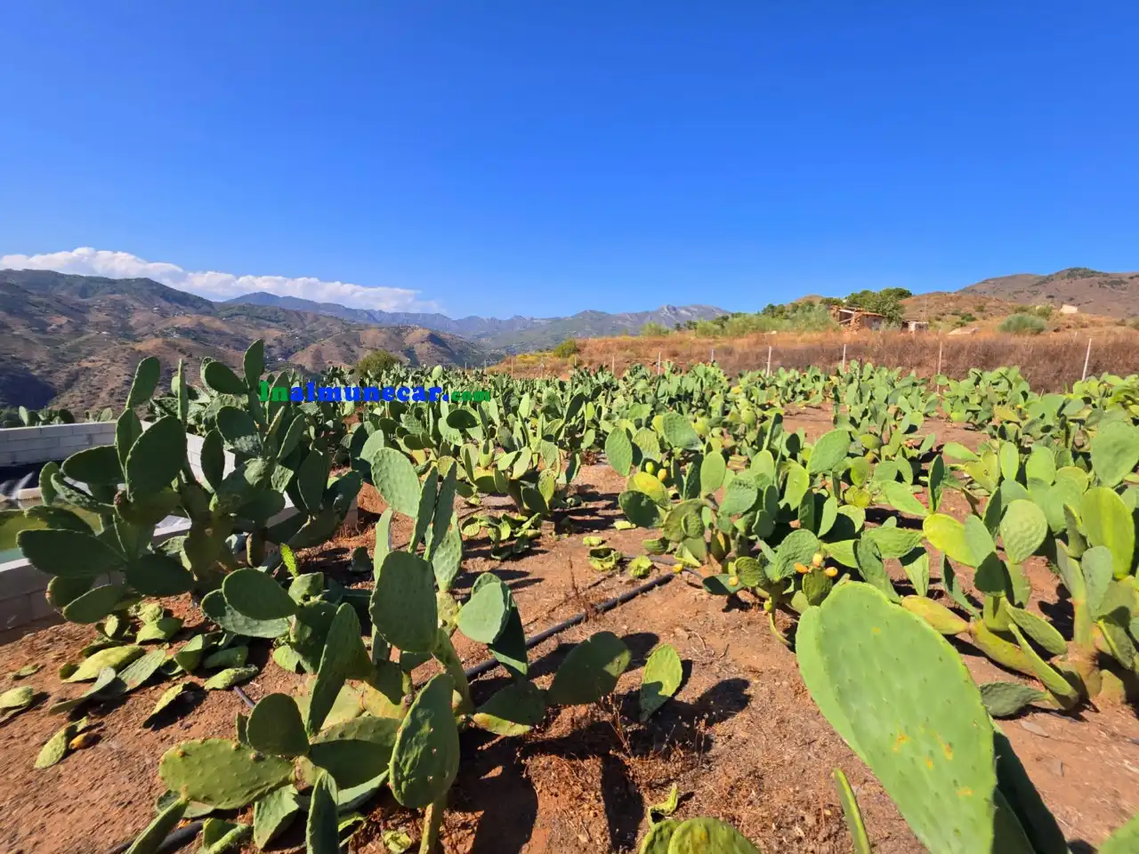 Terrenos y solares en venta en N/A, imagen 20