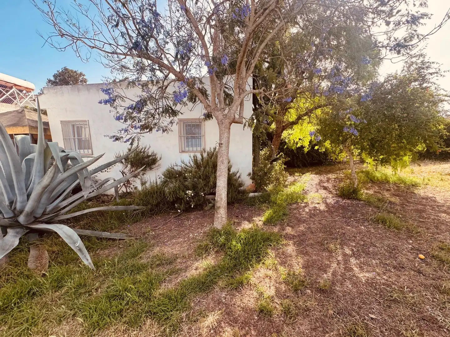 Garten von Haus oder Chalet zum Verkauf in Chiclana de la Frontera mit Klimaanlage, Privatgarten und Abstellraum