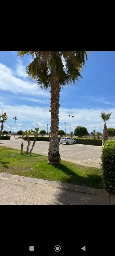 Appartement compact avec terrasse à vendre à Terrazas de la Torre Golf, imagen 16