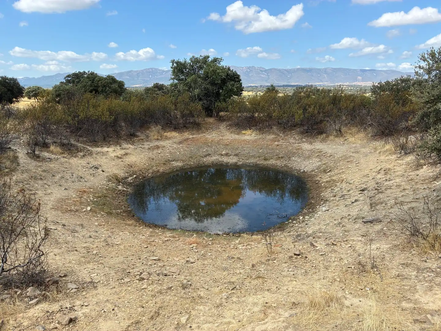 Rural land for sale in Mohedas de la Jara, imagen 8