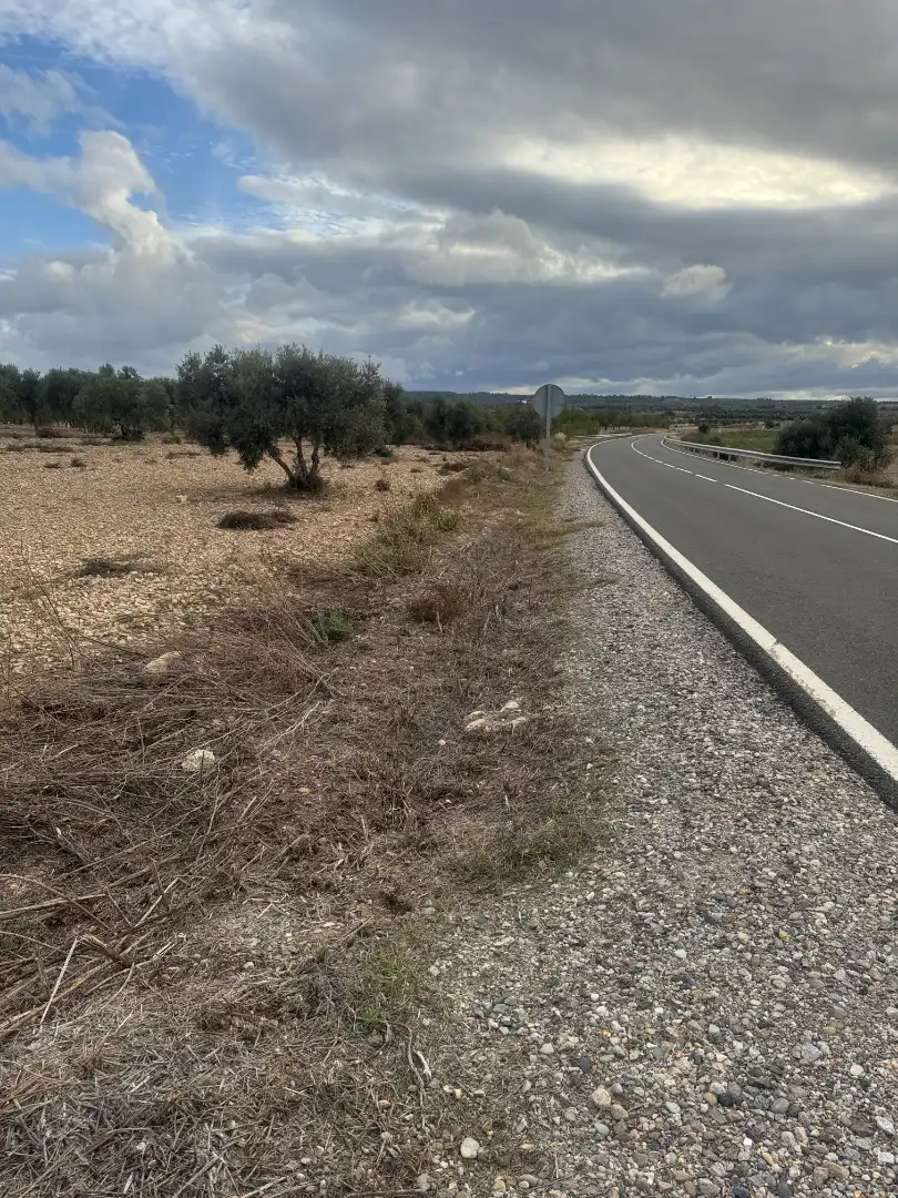 Terreny rústic en venda a Sant Martí de Riucorb, imagen 4