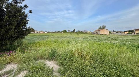 Foto 5 de Finca rústica en venda a Calle Alto, 30, Rafal, Alicante