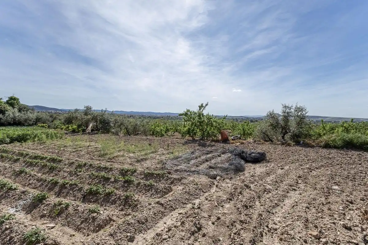 Casa o xalet en venda en Gójar amb Jardí privat, Traster i Balcó