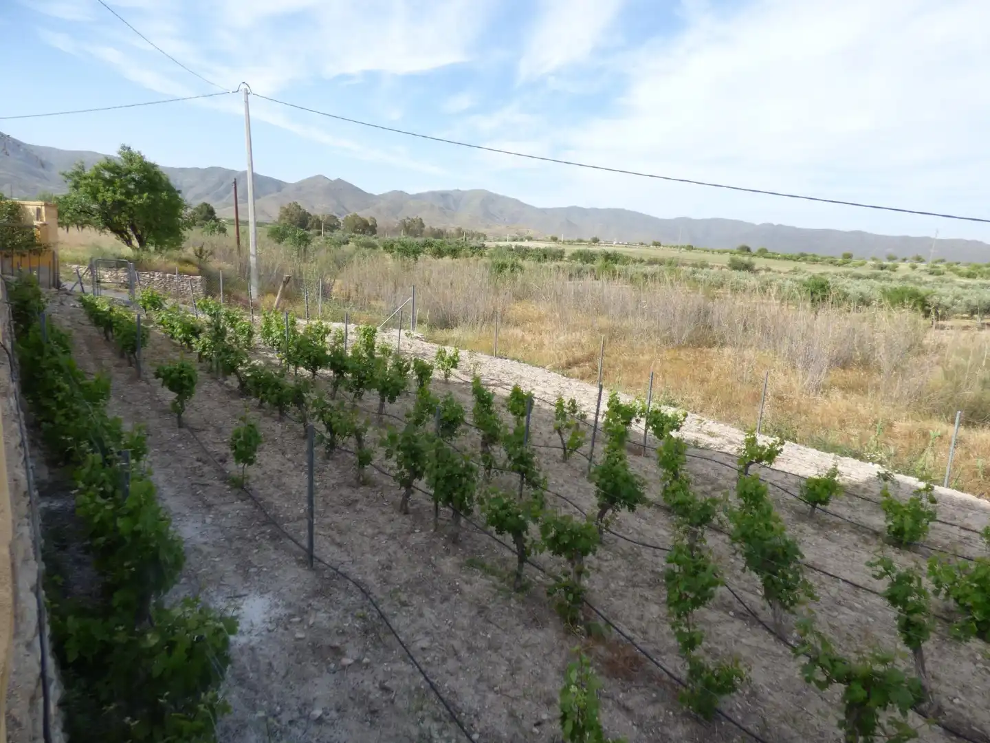 Finca rústica en venta en Uleila del Campo con Calefacción, Jardín privado y Piscina comunitaria