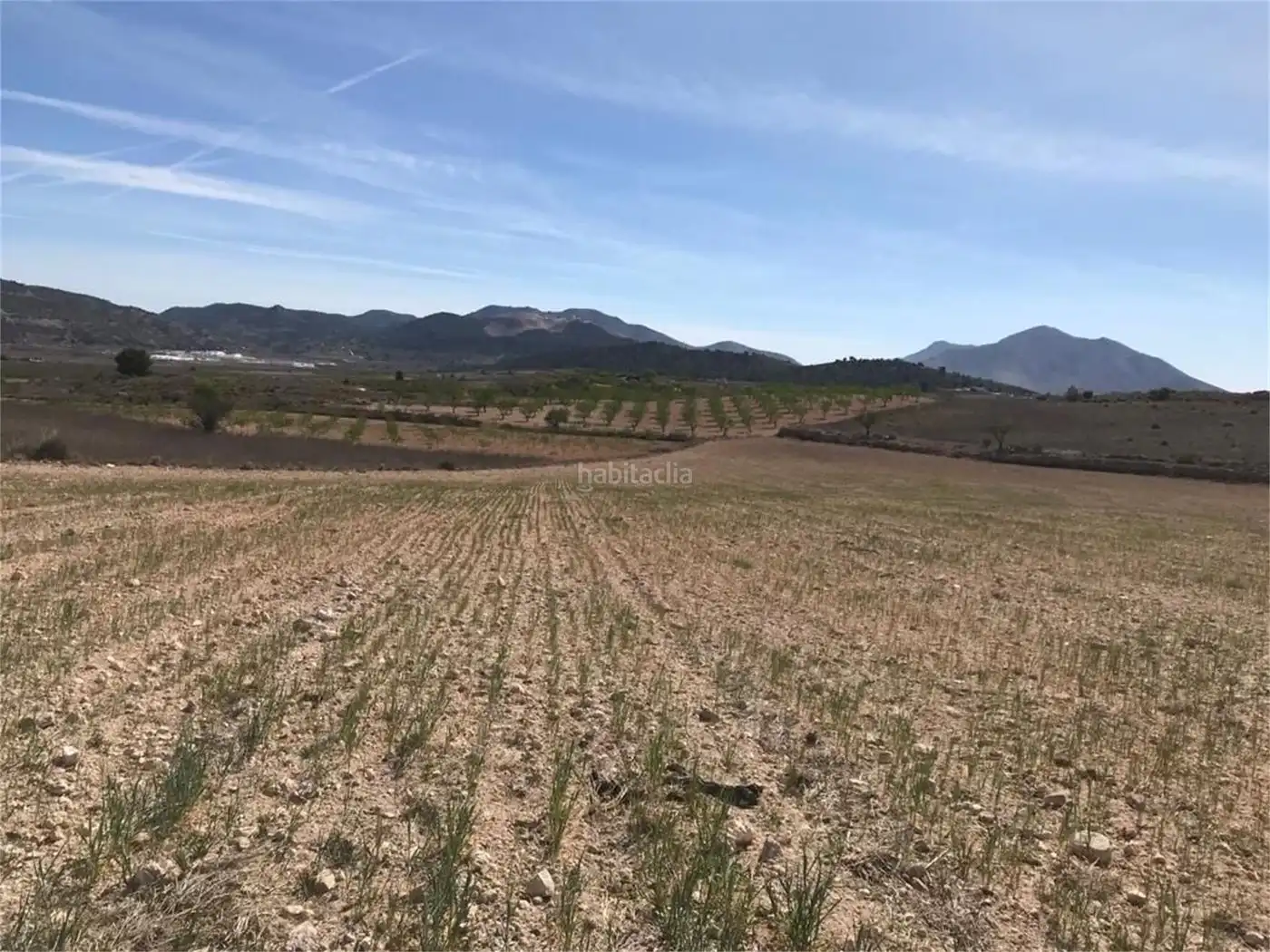 House for sale in Aldea Rodriguillo 95, imagen 5