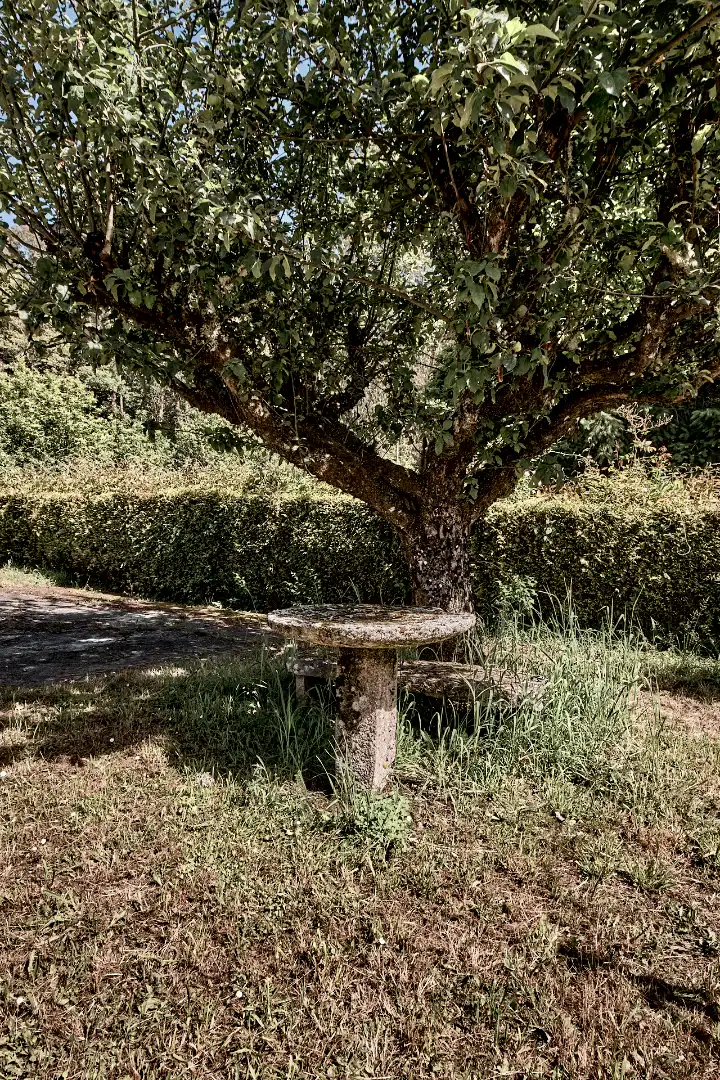 Garden of Country homes for sale in Guitiriz  with Heating, Private garden and Oven