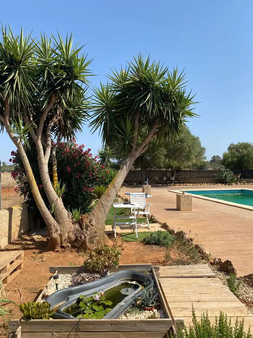 Houses for rent in Santa Eugènia