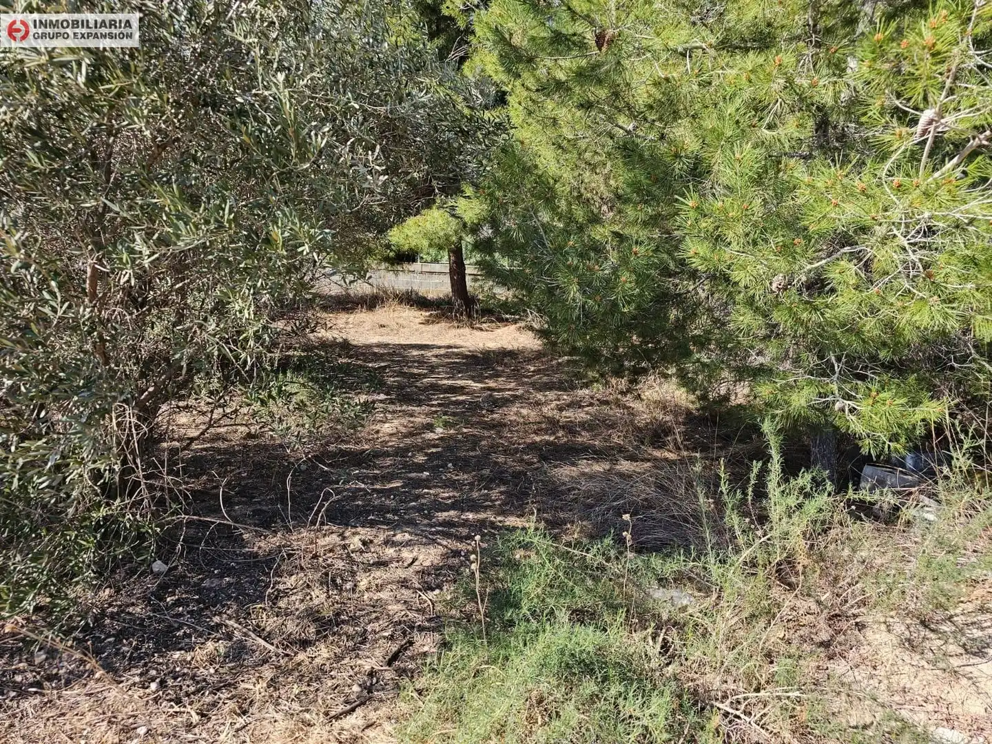 Houses for sale in Aspe