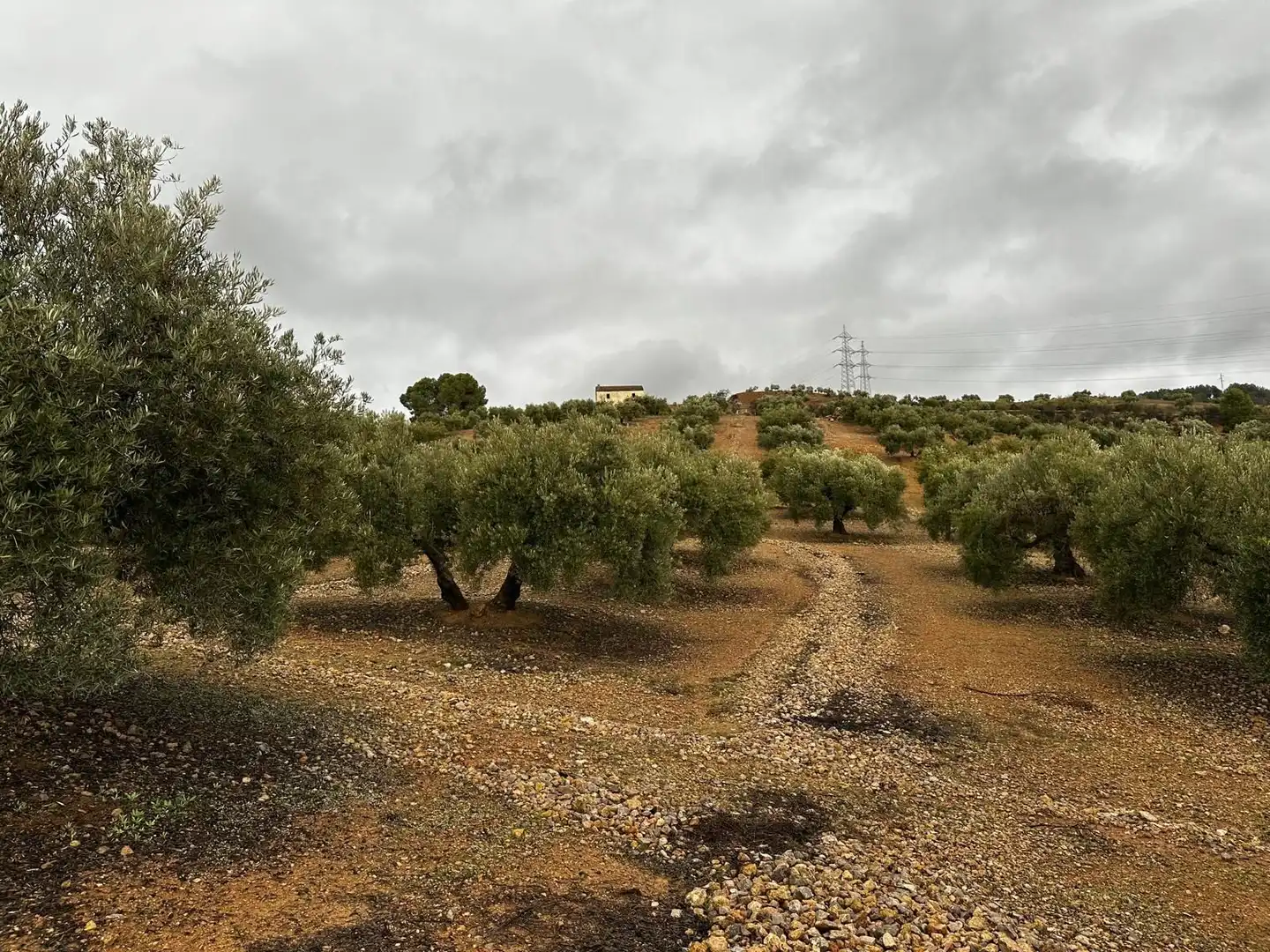Terreni e lotti in vendita a Atarfe, imagen 5