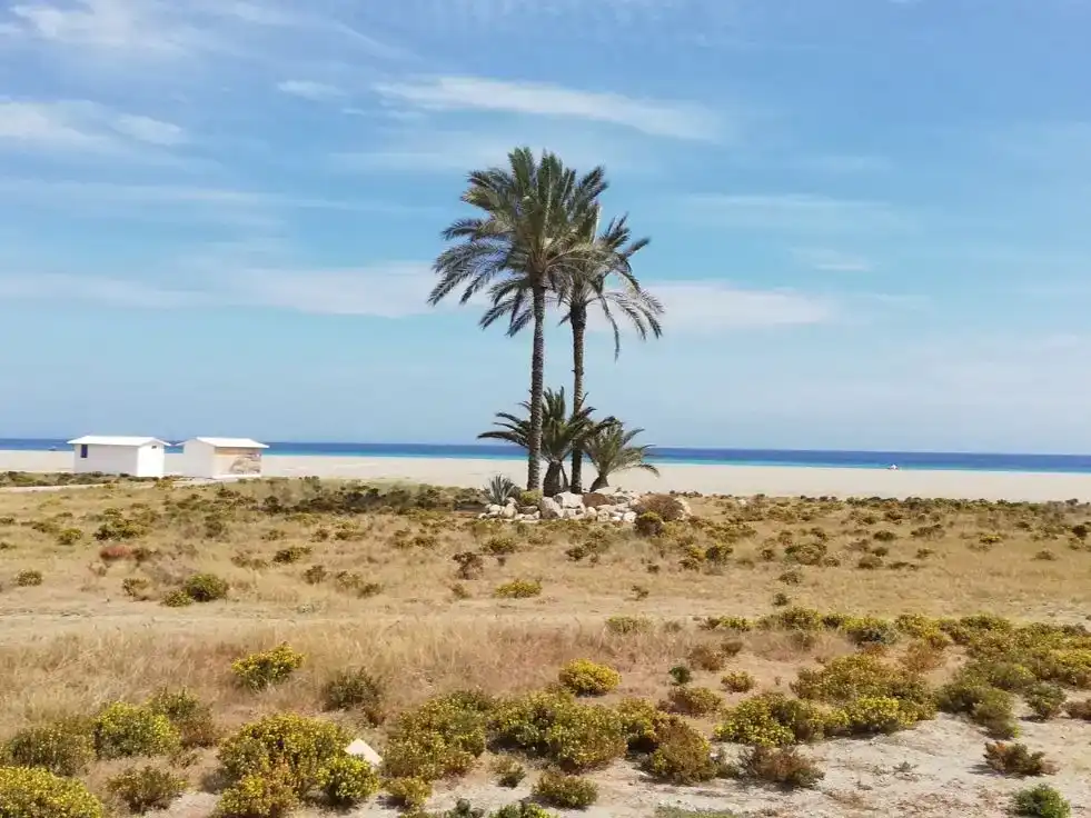 Àtic en venda en Garrucha amb Jardí privat, Traster i Piscina