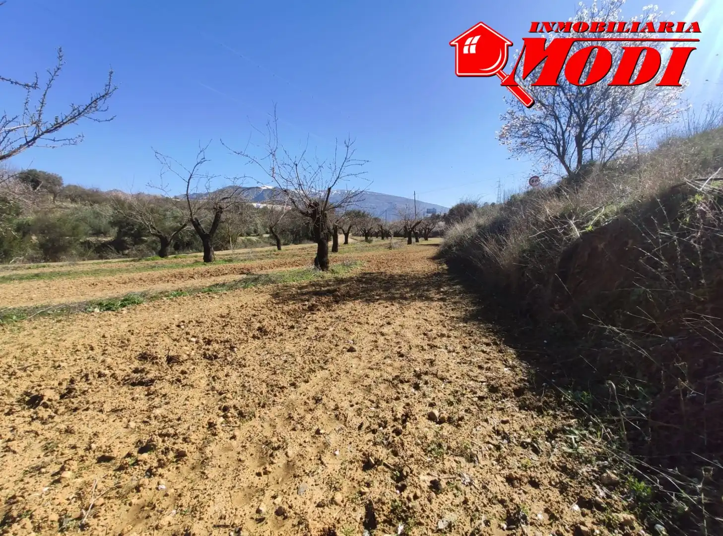 Terrenys i solars en venda a Villamena, imagen 10