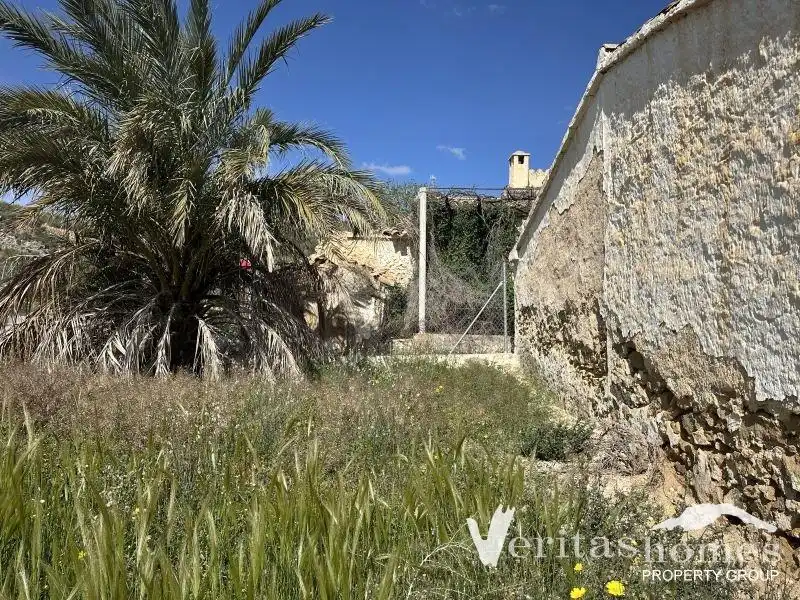Vista exterior de Finca rústica en venta en Los Gallardos
