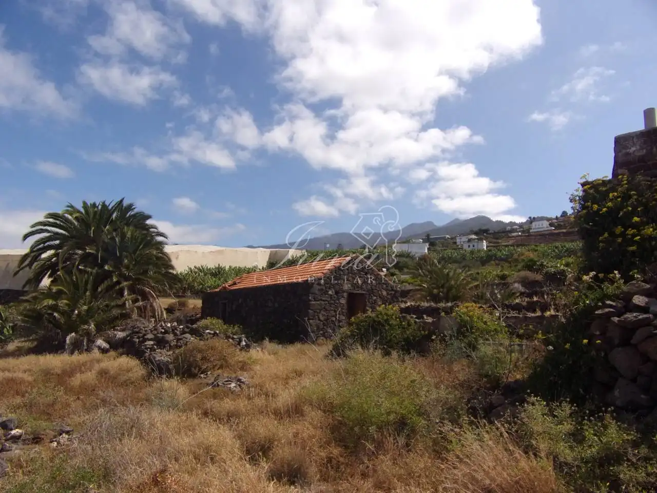 Finca rústica en venta en Tijarafe