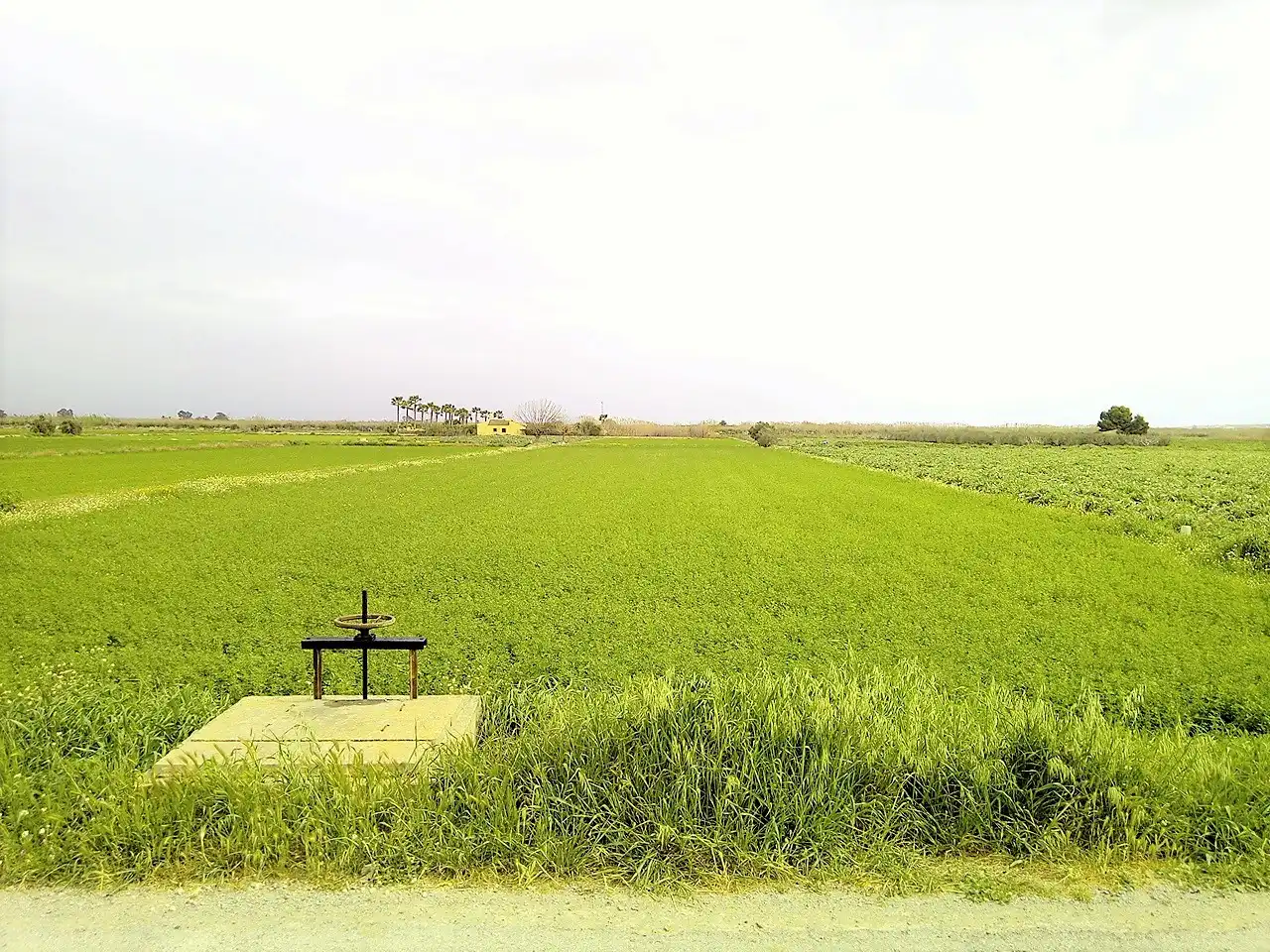 Residencial en venda en Dolores