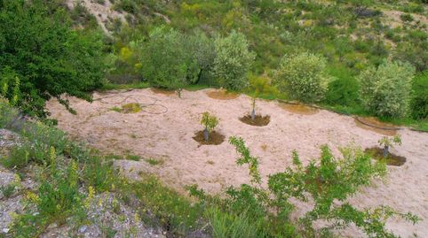 Finca Rúst. en venta en Polígonos.